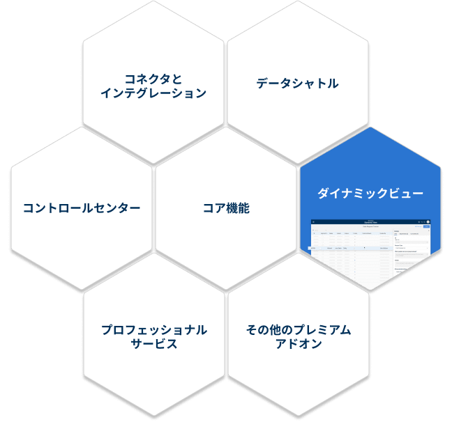 Dynamic view